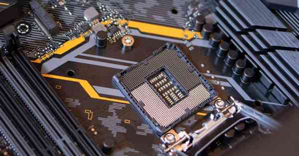 主要的遗传物质_主要的遗传物质是什么